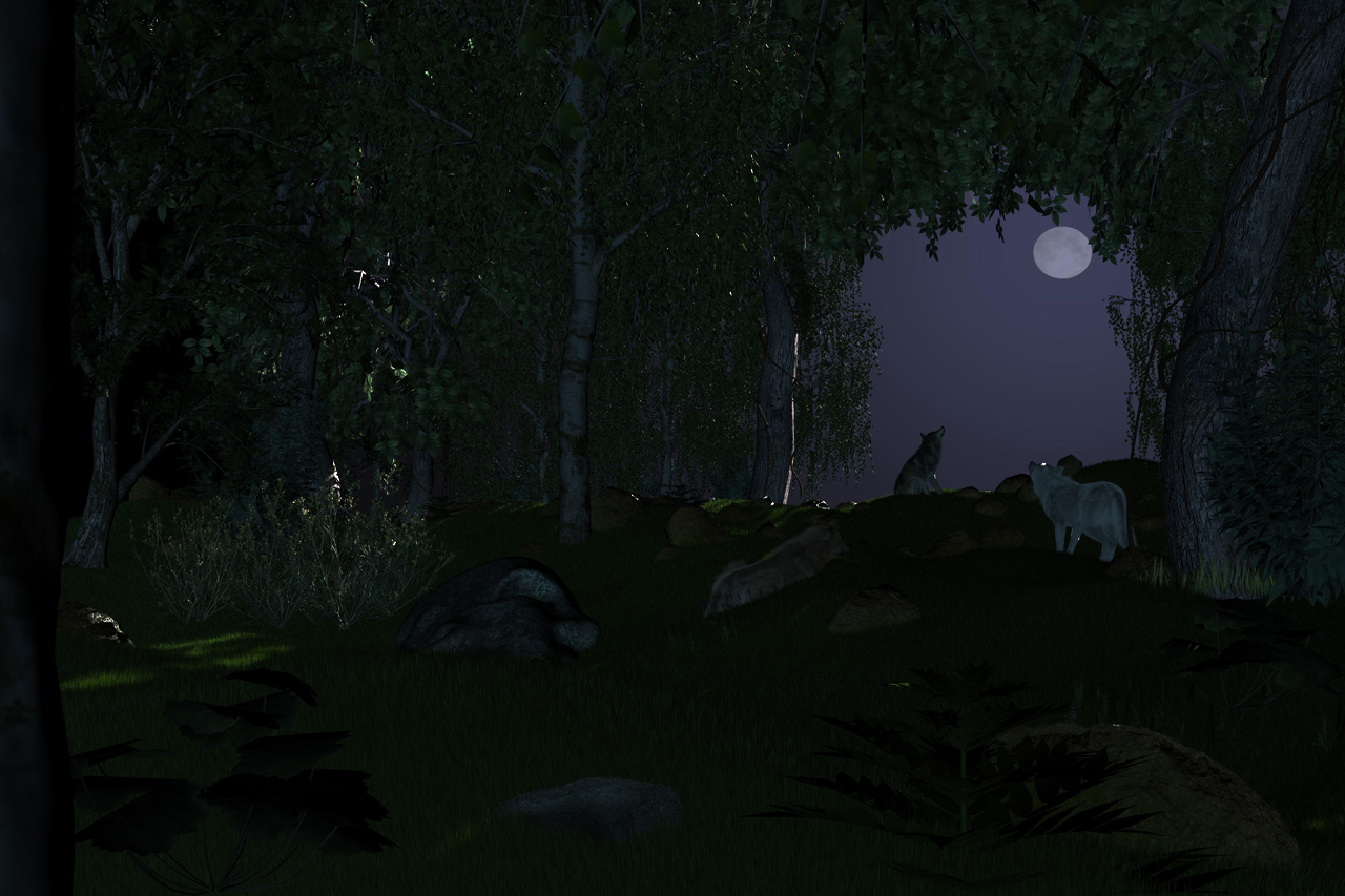 Wolf howling at the moon