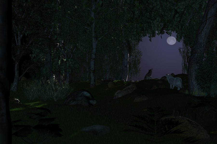 Wolf howling at the moon